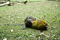 Abe Bohol_PHI4140